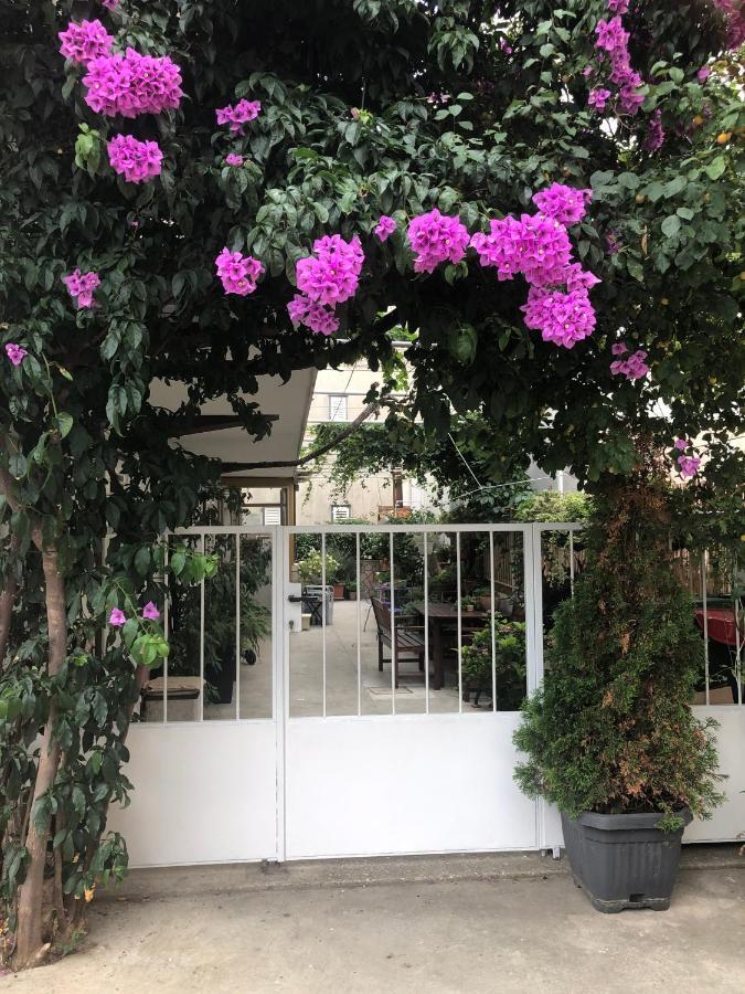 Apartmani Maretimo Primošten المظهر الخارجي الصورة
