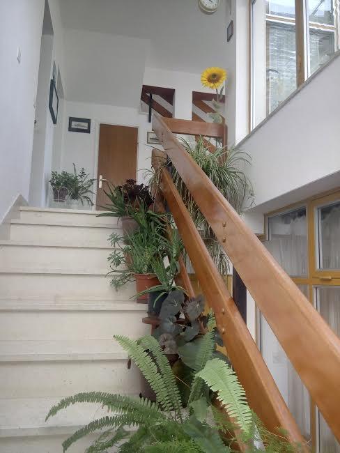 Apartmani Maretimo Primošten المظهر الخارجي الصورة
